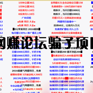 網(wǎng)賺論壇的項(xiàng)目是真的嗎？推薦2016年真實(shí)的網(wǎng)賺項(xiàng)目